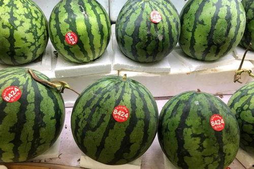 成都A片吃瓜群众,揭秘网络吃瓜群众的狂欢与争议  第3张