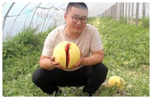 吃瓜网友小橙,揭秘娱乐圈那些不为人知的幕后故事 第3张 吃瓜网友小橙,揭秘娱乐圈那些不为人知的幕后故事 第3张