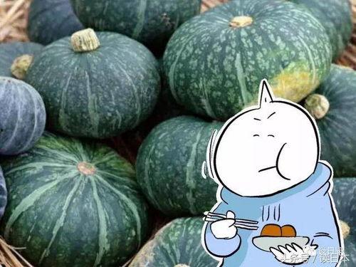 日本蓝瓜怎么吃 第3张 日本蓝瓜怎么吃 第3张