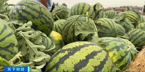 全国吃瓜网,揭秘娱乐圈幕后故事，带你领略娱乐风云变幻