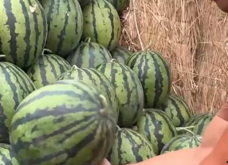 全国吃瓜网,揭秘娱乐圈幕后故事，带你领略娱乐风云变幻  第3张