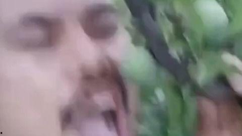 张扬吃瓜视频,揭秘娱乐圈幕后真相